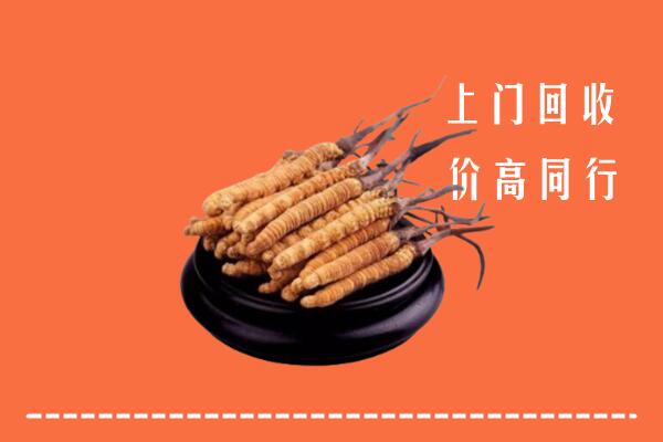 高价求购：房山回收散虫草