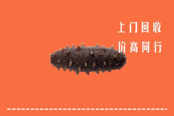 高价求购：房山回收海参