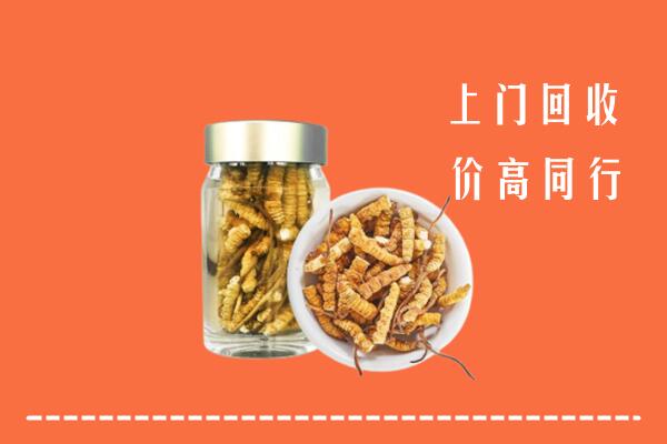房山回收冬虫夏草